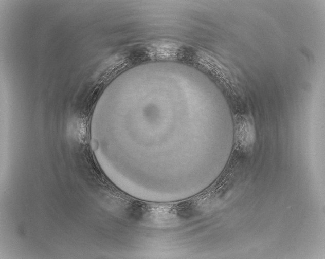 X0000115060709200912071151