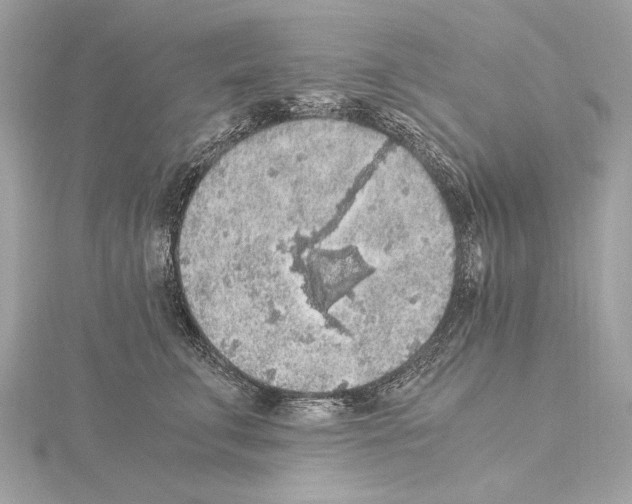 X0000115060711200912071151