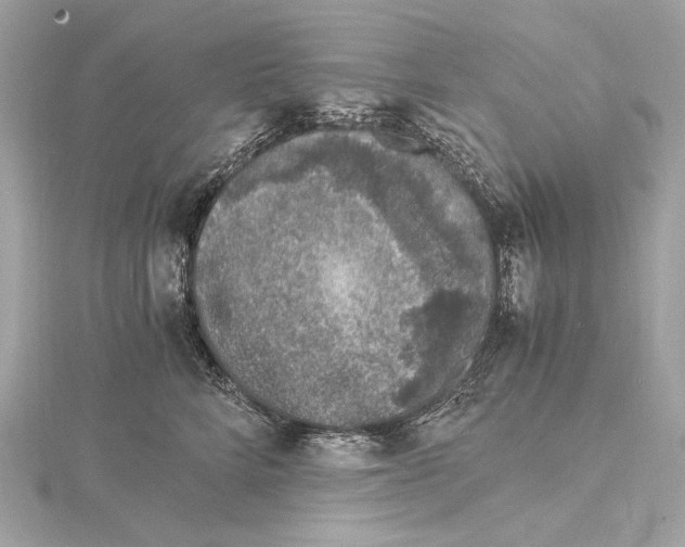 X0000115060712200912071151