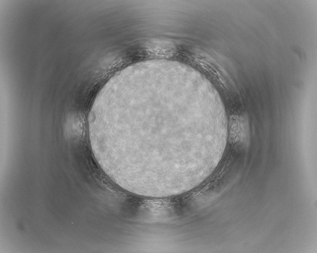 X0000115060713200912071151