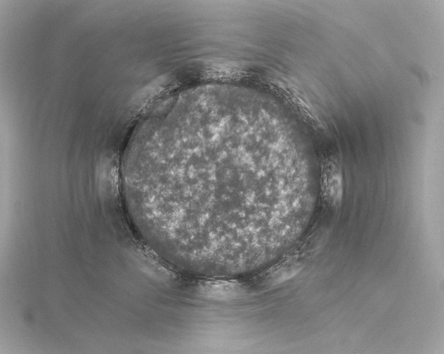 X0000115060716200912071151