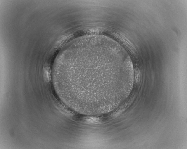 X0000115060718200912071151