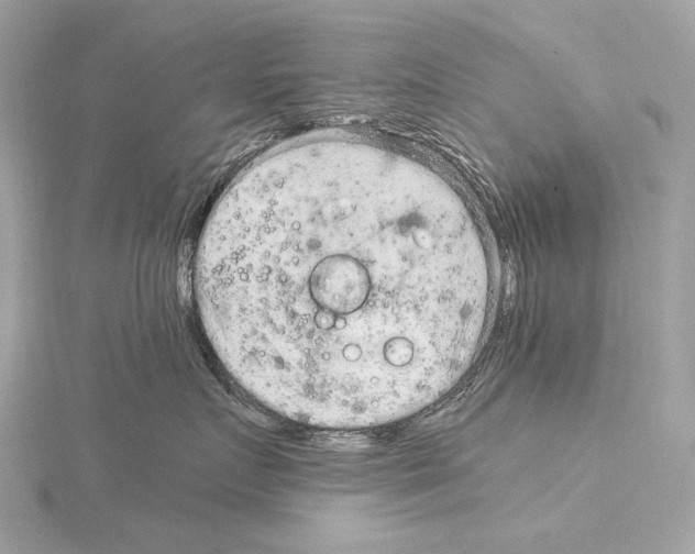 X0000115060719200912071151