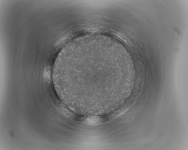 X0000115060720200912071151