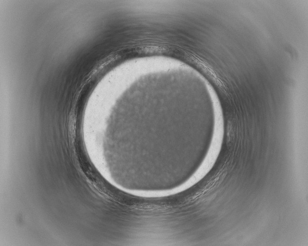 X0000115060722200912071150