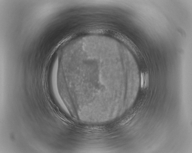 X0000115060723200912071150