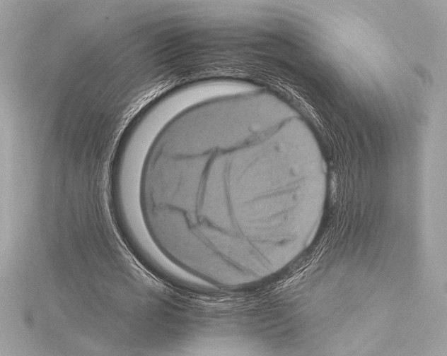 X0000115060725200912071150