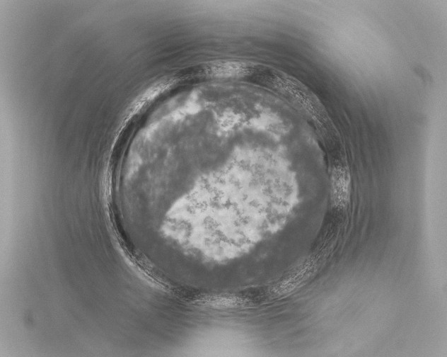 X0000115060726200912071150