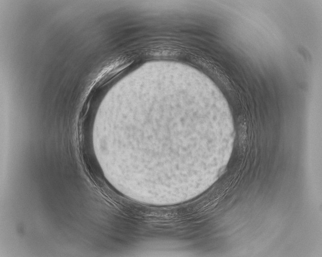 X0000115060727200912071150