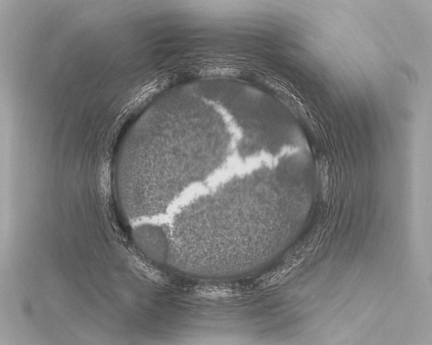 X0000115060729200912071151