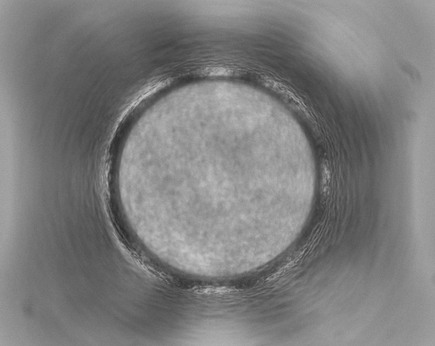 X0000115060730200912071151