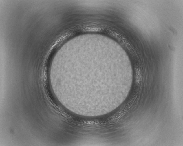 X0000115060731200912071151