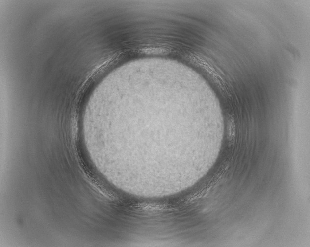 X0000115060733200912071151