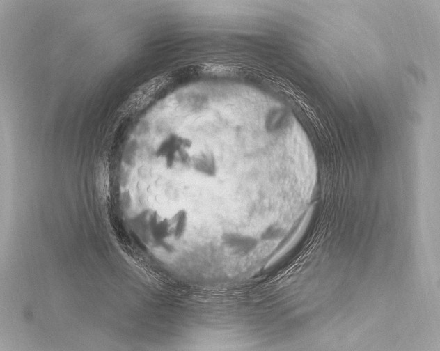 X0000115060734200912071151