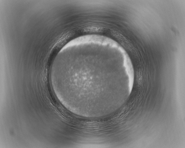 X0000115060735200912071151