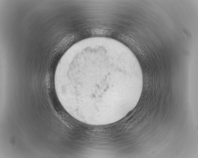 X0000115060738200912071151