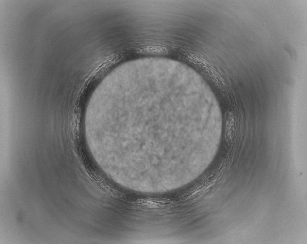 X0000115060739200912071151