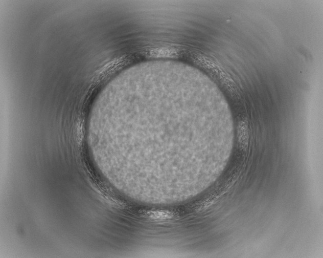 X0000115060741200912071151