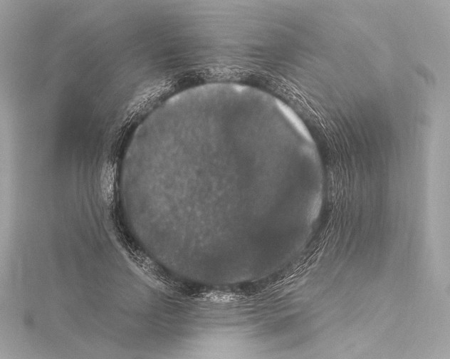 X0000115060742200912071151