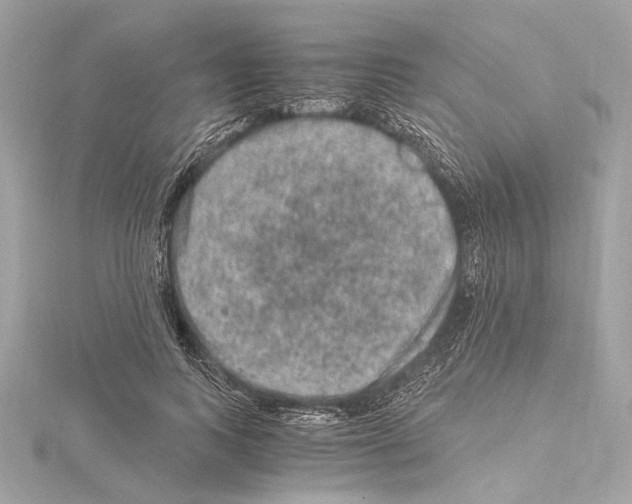 X0000115060743200912071151