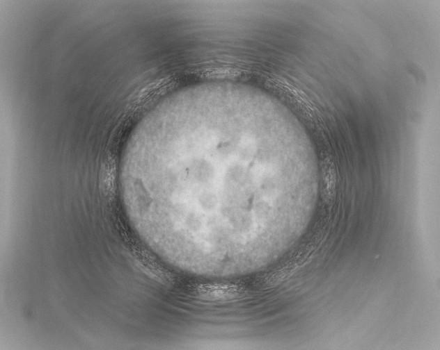 X0000115060745200912071151