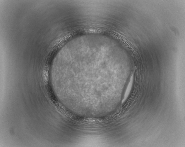 X0000115060746200912071151