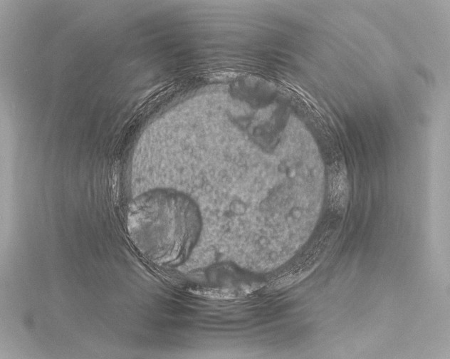 X0000115060749200912071151