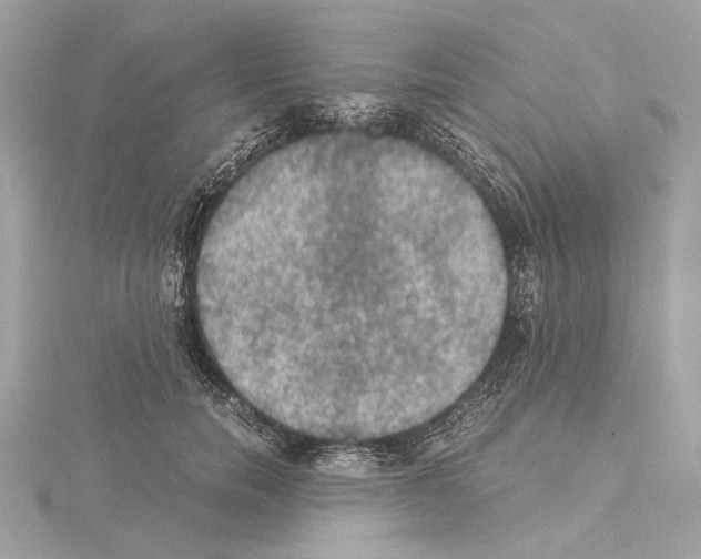 X0000115060750200912071151