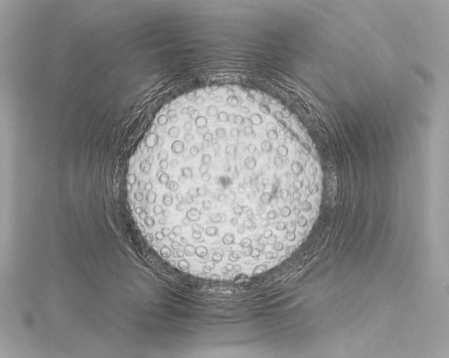 X0000115060751200912071151