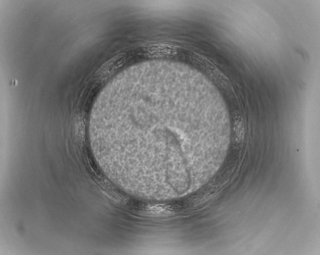 X0000115060753200912071151