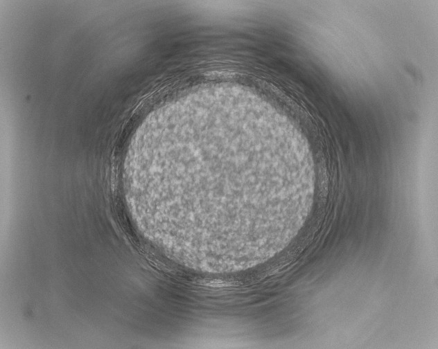 X0000115060755200912071151