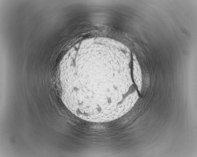 X0000115060759200912071151