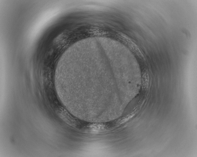 X0000115060762200912071151