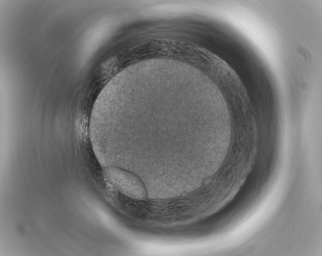 X0000115060766200912071151