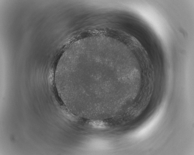 X0000115060767200912071151