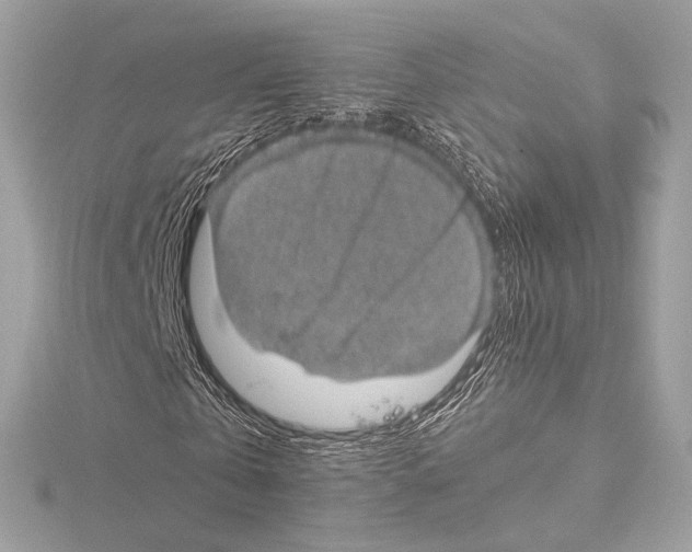 X0000115060769200912071150