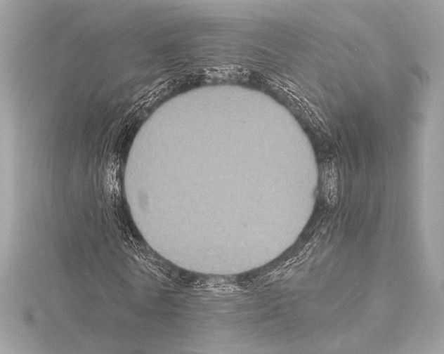 X0000115060770200912071150