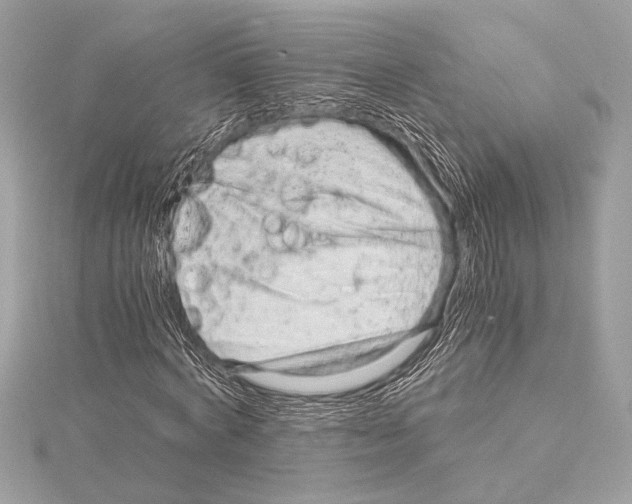 X0000115060772200912071150