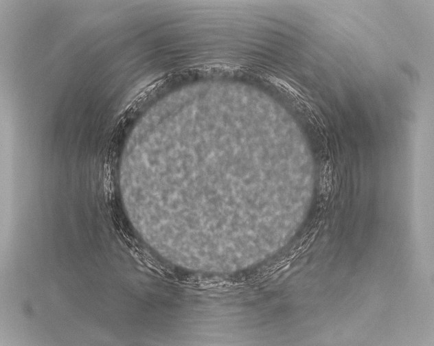 X0000115060774200912071150