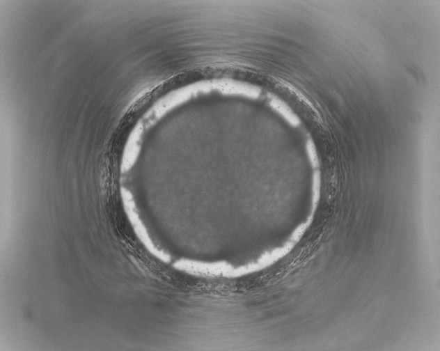 X0000115060775200912071150