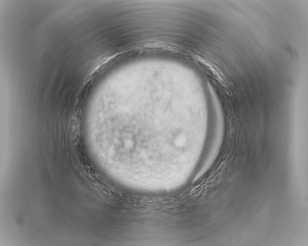 X0000115060776200912071150