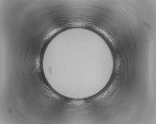 X0000115060778200912071150