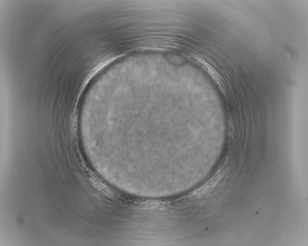 X0000115060779200912071150