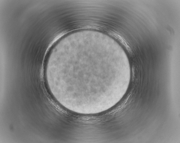 X0000115060780200912071150