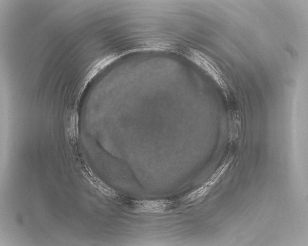 X0000115060781200912071150