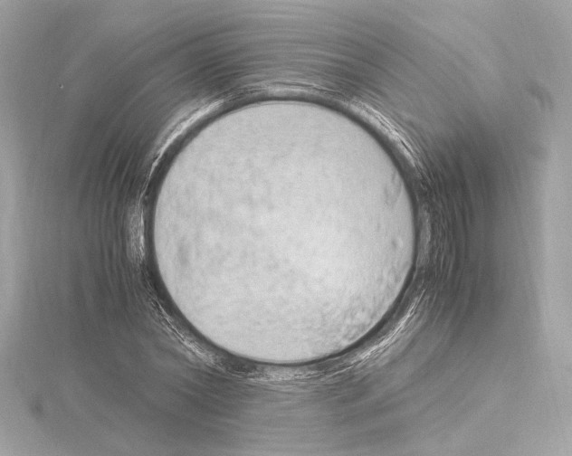 X0000115060782200912071150