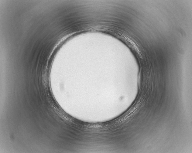 X0000115060784200912071150