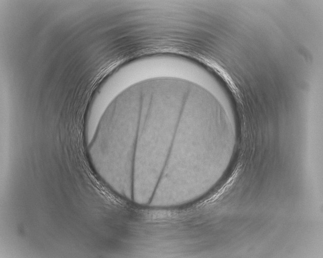 X0000115060785200912071150