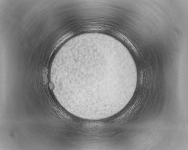 X0000115060786200912071150