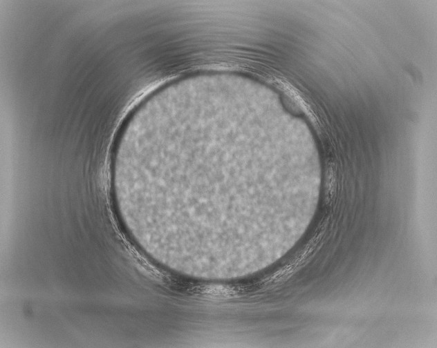 X0000115060787200912071150